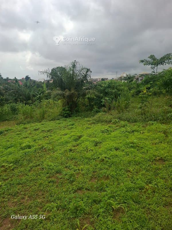 Parcelle 400m² - Bingerville — photo 2
